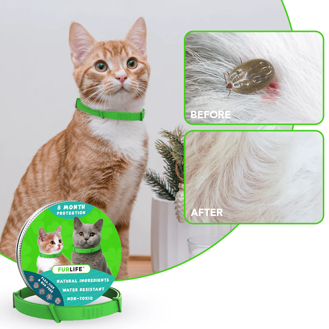 Natural Flea Tick Control Dogs